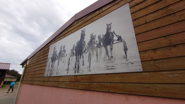 enseigne-lumineuse-enseigniste-manche-écuries-st-lo-amcrepro